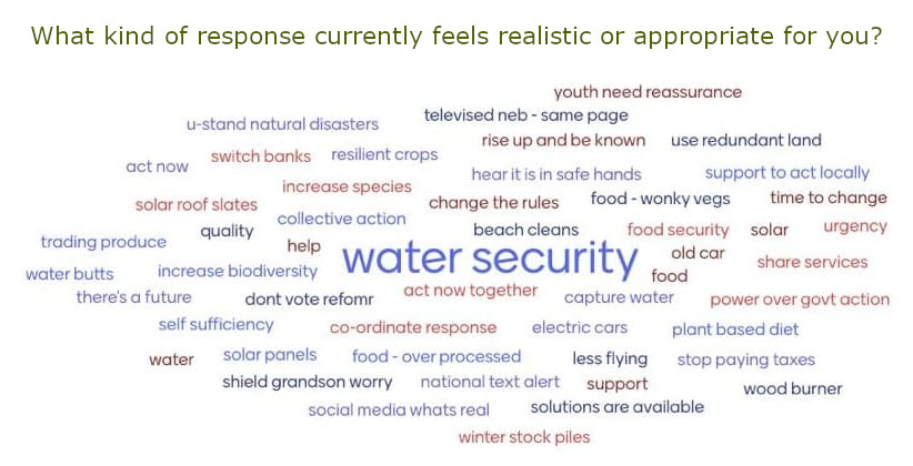 Realistic response word cloud